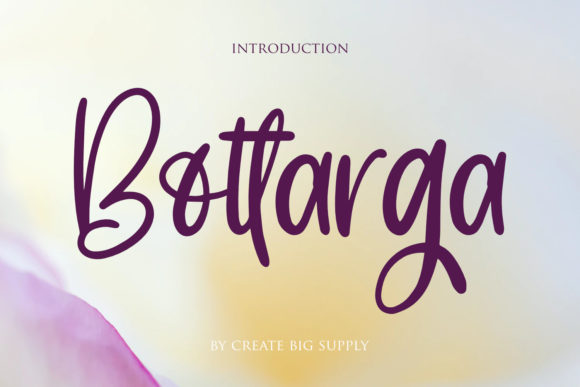Bottarga: The Relaxed Handwritten Font for Authentic Brand Identity