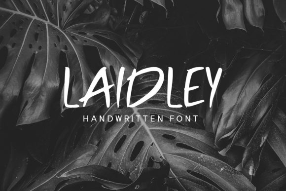 Laidley: The Handwritten Typeface That Elevates Small Business Branding