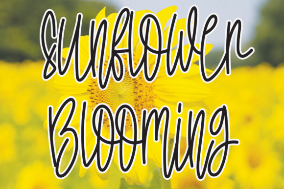 Sunflower Blooming: A Relaxed Handwritten Font for Organic Brand Identities