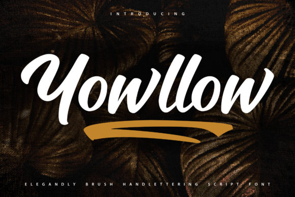 Yowllow Typeface Review: A Bold Handwritten Script for Modern Branding